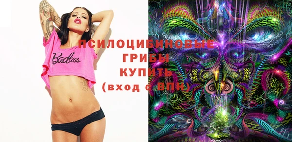 гашиш Богородицк