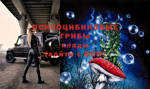 гашиш Богородицк
