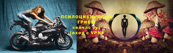 первитин Богородск