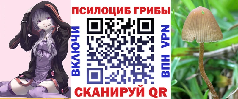 купить наркотики сайты Ясногорск Галлюциногенные грибы Psilocybine cubensis